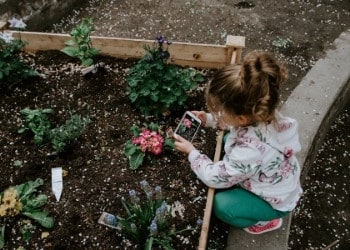 Os melhores aplicativos para identificar plantas por foto