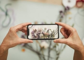 5 melhores aplicativos para identificar plantas